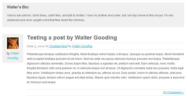 authortemplate Post image