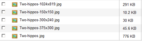 Delete unused images files in WordPress