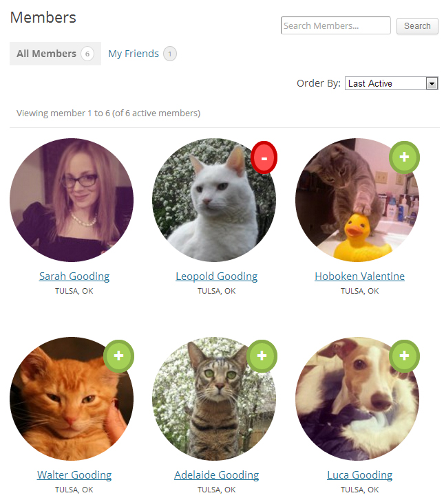 custom-members-directory Post image