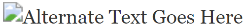 Alternate Text Goes Here