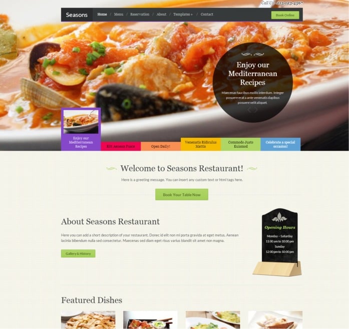 wpzoom-theme2