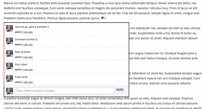 Screenshot showing the paragraph comments