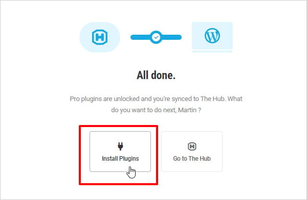 Install WPMU DEV plugins button selected.