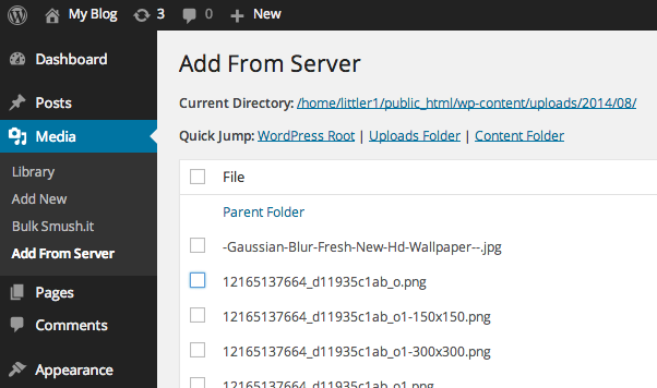 Add From Server plugin