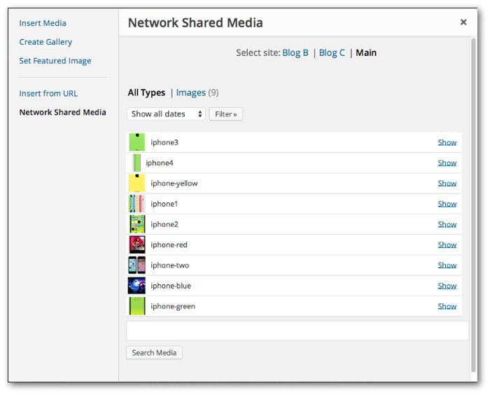Screengrab of the Add Media dialog showing hte Network Shared Media link and the individual blog links
