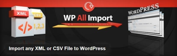 WPML Multi-Lingual Import Add-On for WP All Import image