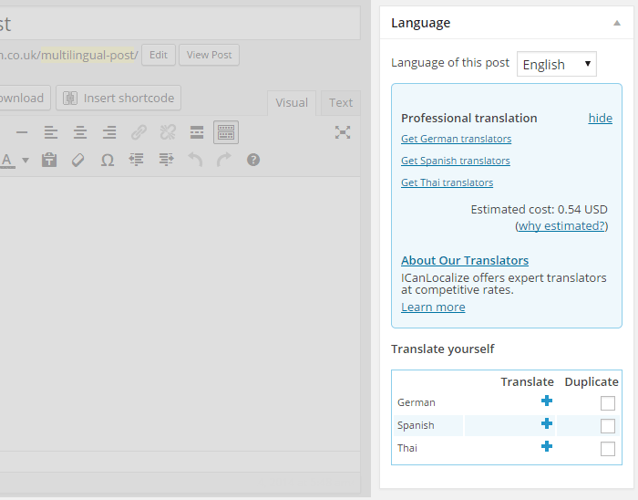 WPML Translation Panel