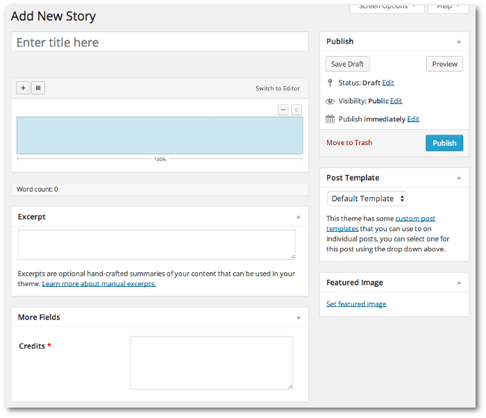 Screenshot of the custom post type Story edit page