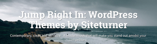 Siteturner — Jump Right In image