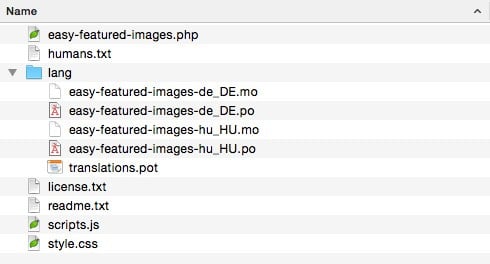File Structure