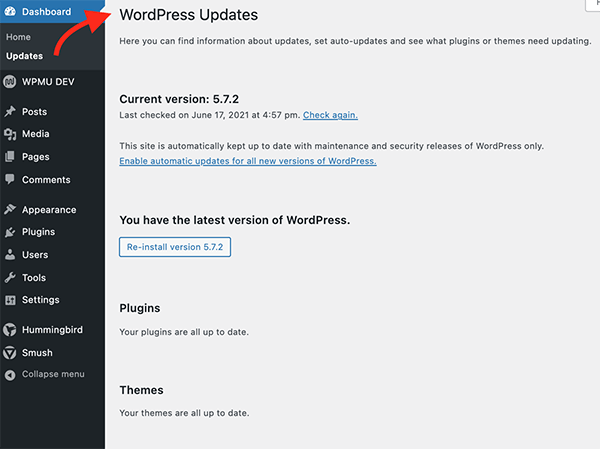 update area in WordPress admin.
