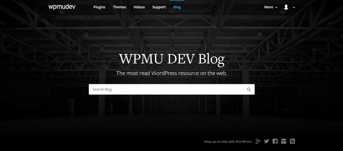With more than 4000 articles in our archives, our blog is the best WordPress resource out there!