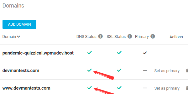 WPMU DEV Hosting green tick in DNS Status and SSL Status columns after successfully adding a domain