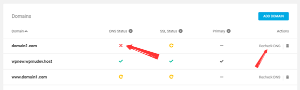 WPMU DEV Hosting automatically checks of DNS Records propagation