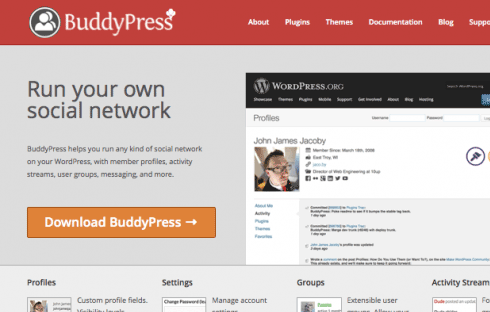 BuddyPress is one area in which WordPress developers might specialize.