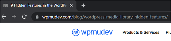 WPMU DEV site using post name permalinks.