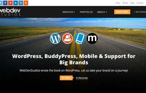 Brad Williams is the CEO and Co-founder of WebDevStudios.com