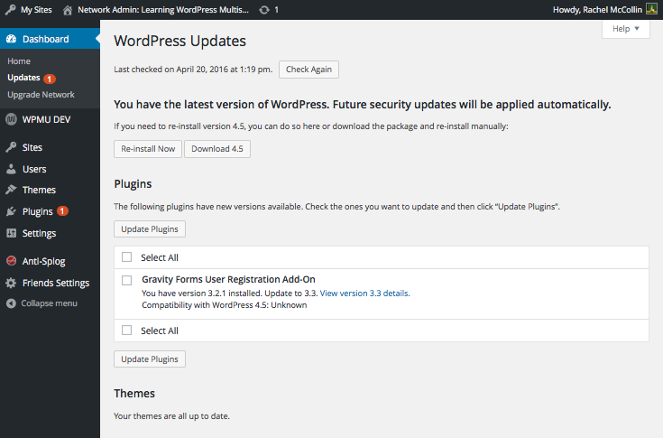 plugin updates screen Multisite network