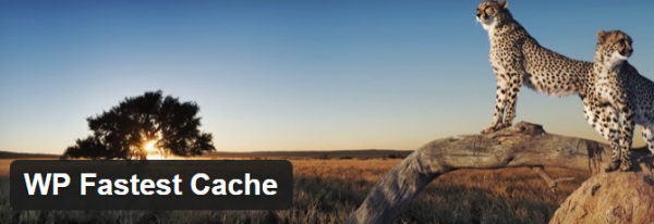 WP Fastest Cache image