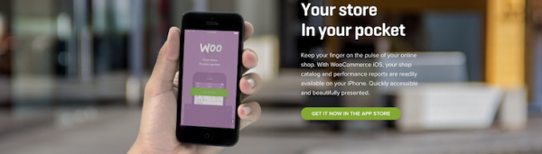 WooCommerce image