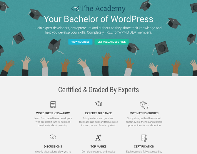 WPMU DEV Academy