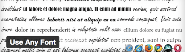 Use Any Font plugin image