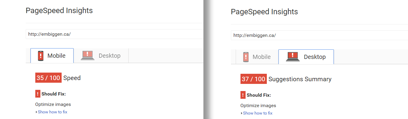 Google PageSpeed Insights scoring.