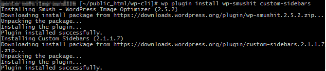 plugin installation success with wp-cli