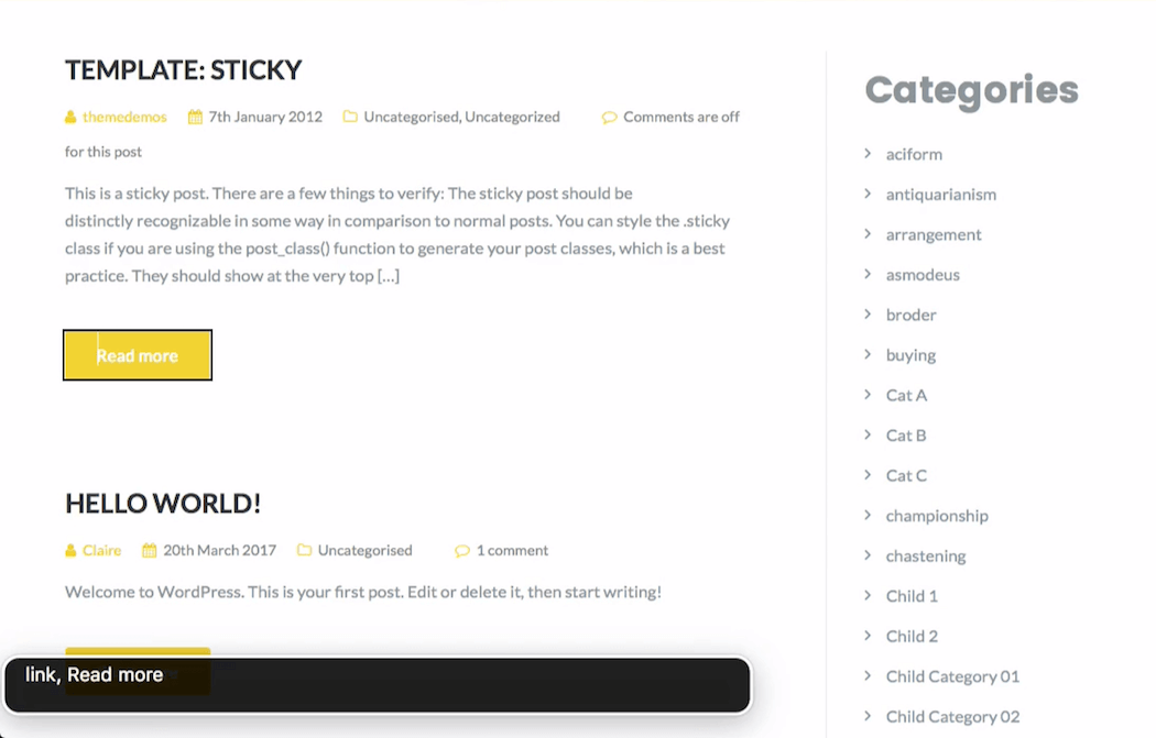 The Illdy theme Read more links don’t reveal the post title when tabbed through.