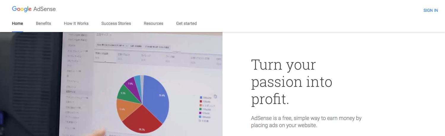 Google adsense website
