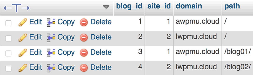 Checking the child blog/site in the multi network database.