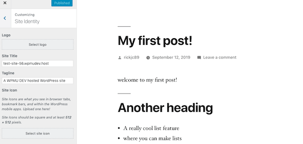 Let your users customize their sites using the customizer