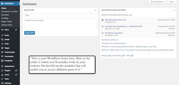 WordPress training