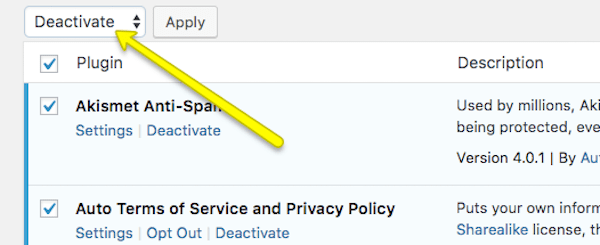 Plugin Conflicts - Deactivate All Plugins