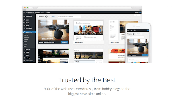 17 Questions - WordPress CMS