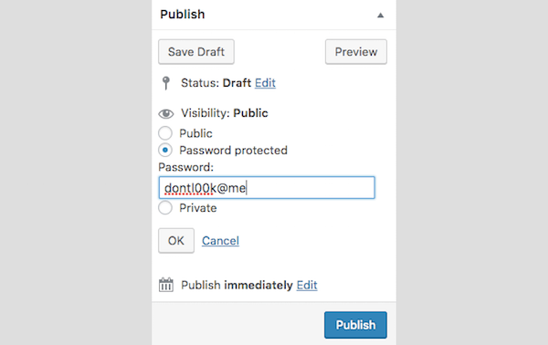 Password Protect - Password Protect Post