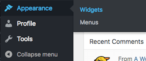 A custom Editor role viewing only Widgets and Menus in the Appearance section