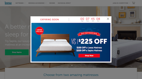 Design the First Page of Your eCommerce Site Leesa Timer