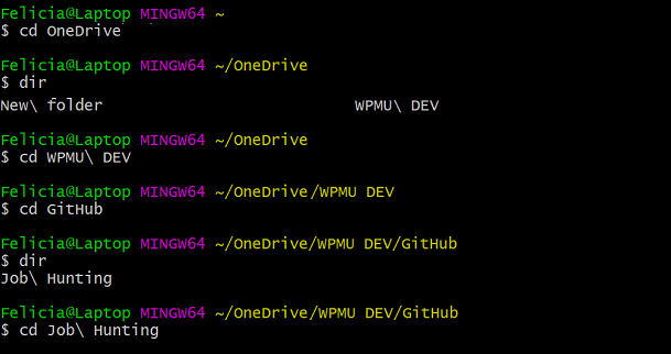 Navigating Using Git Bash