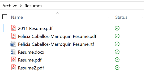 Screenshot of Resumes in File Manager