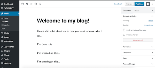 An example of the WordPress editor