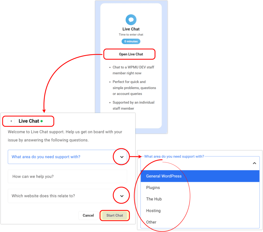 WPMU DEV Live Support
