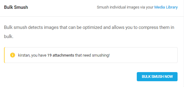 Screenshot of the amount of images that need smushing - 19.