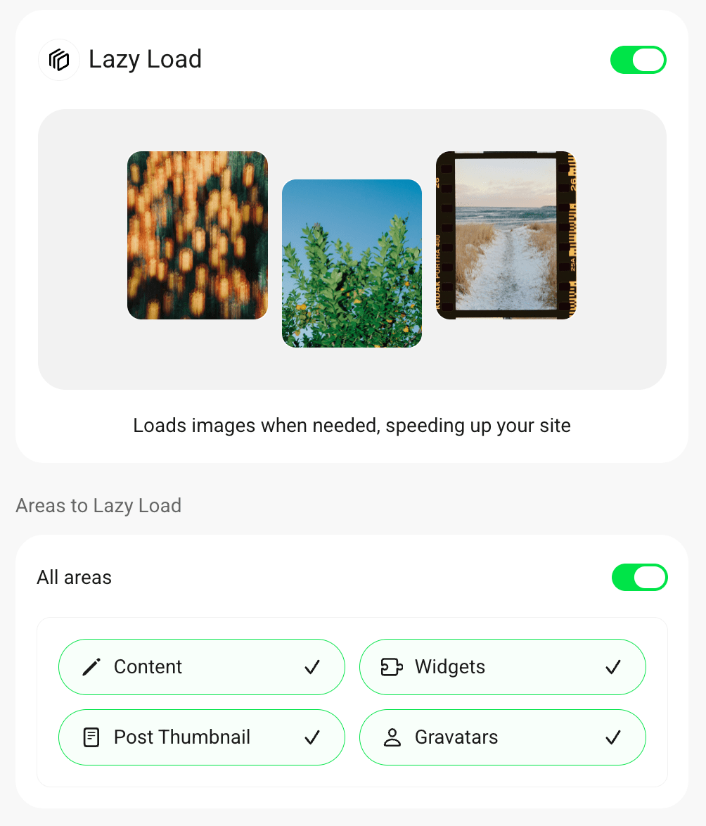 Smush Lazy Load settings