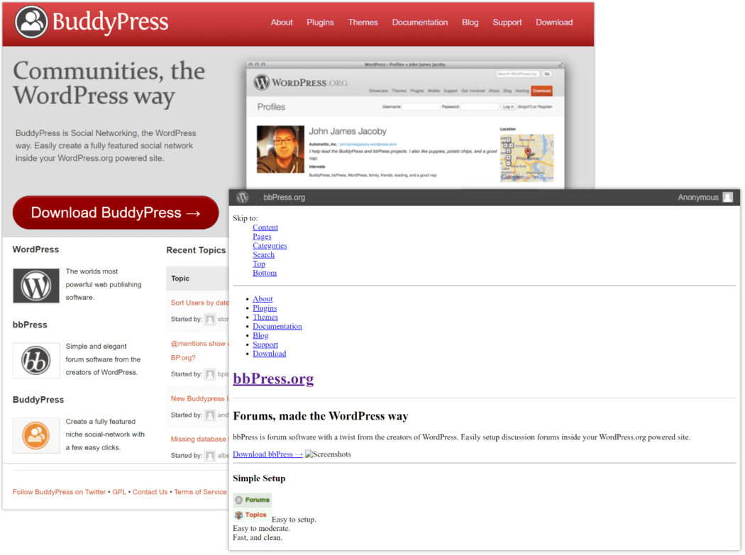 2013 BuddyPress and bbPress