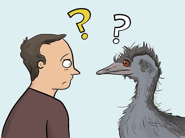 What are MU-Plugins?