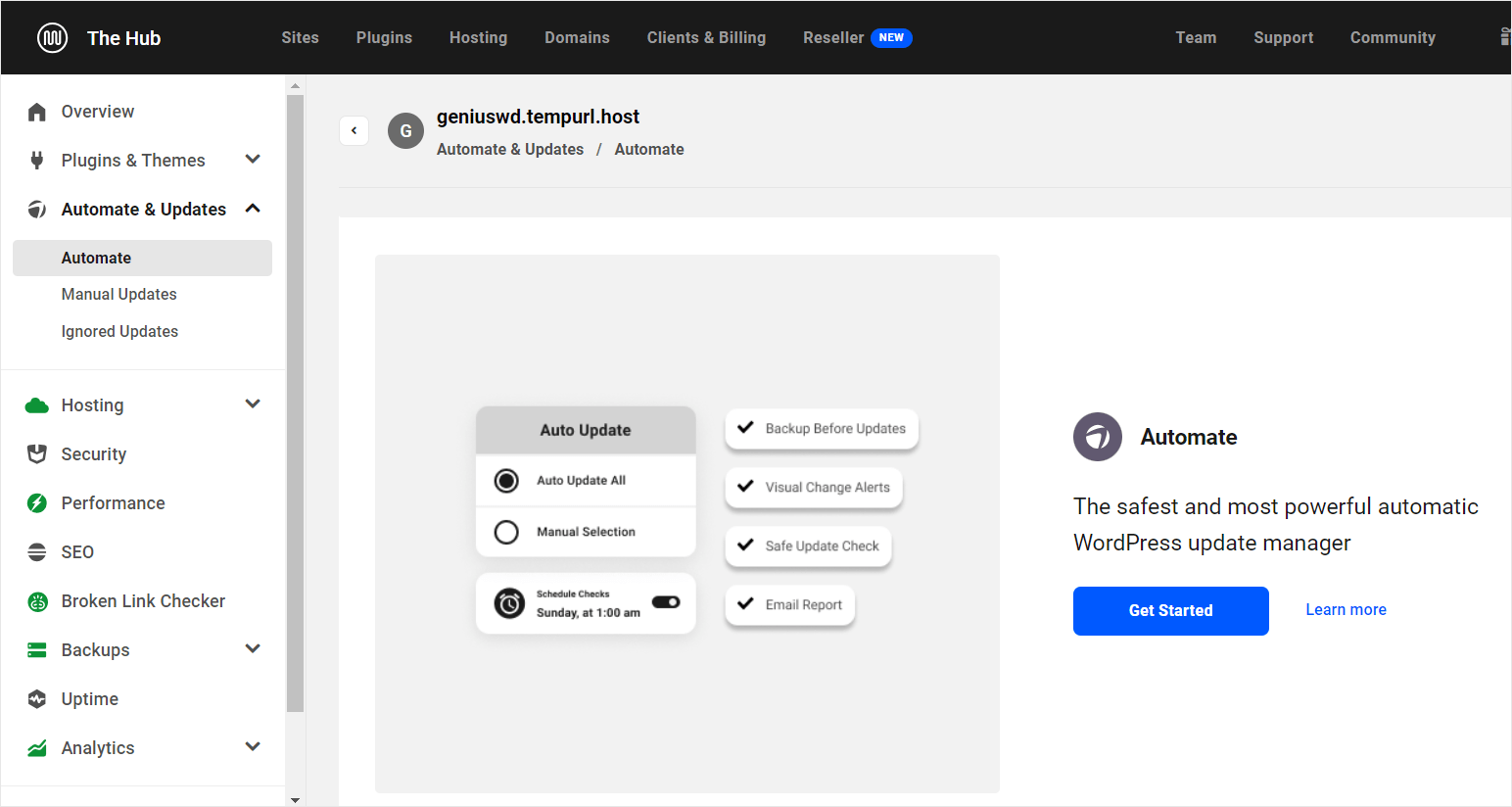 WPMU DEV automation features.