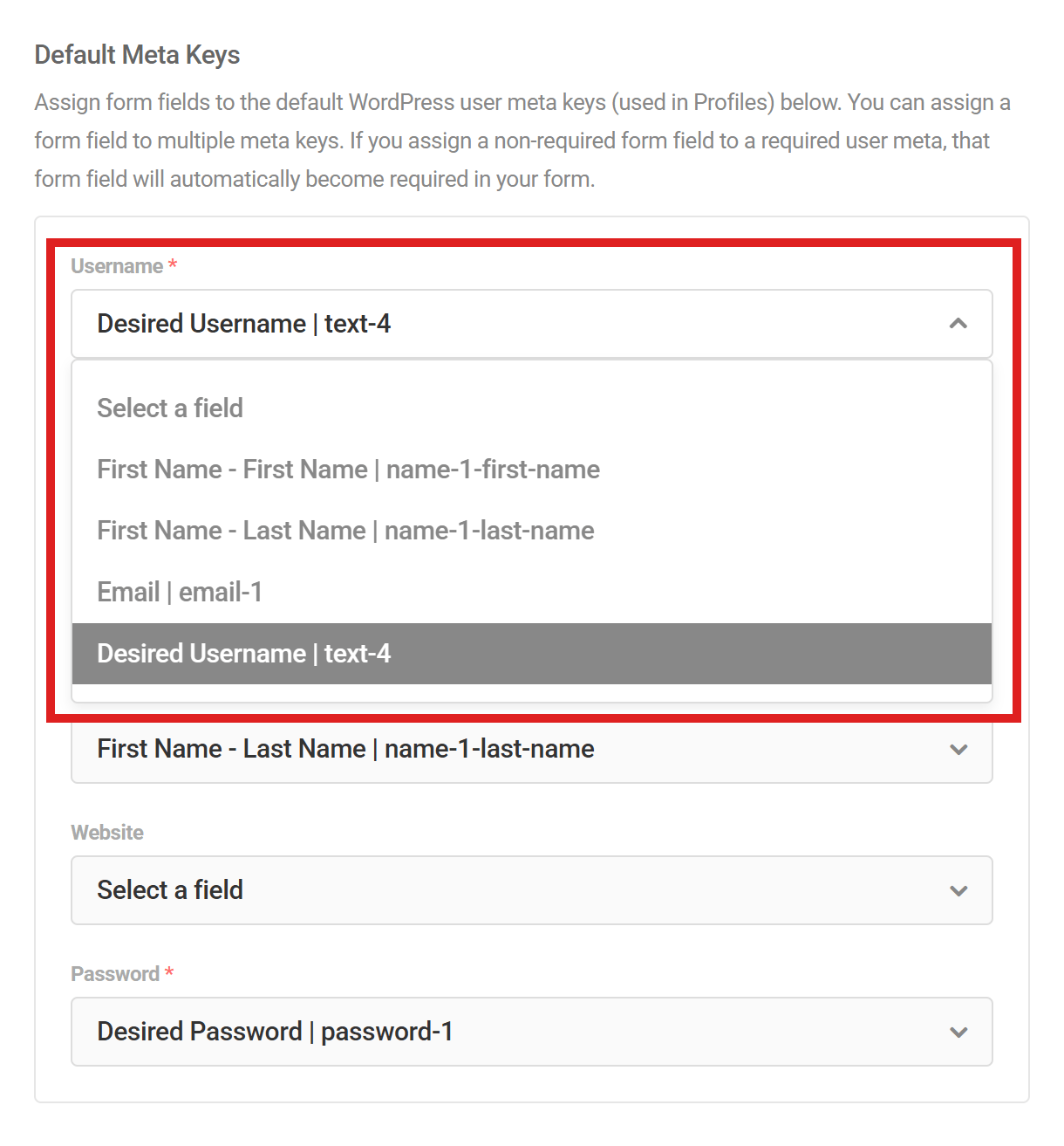 Map form fields to user profile meta in Forminator registration form
