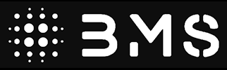 bms wpmudev