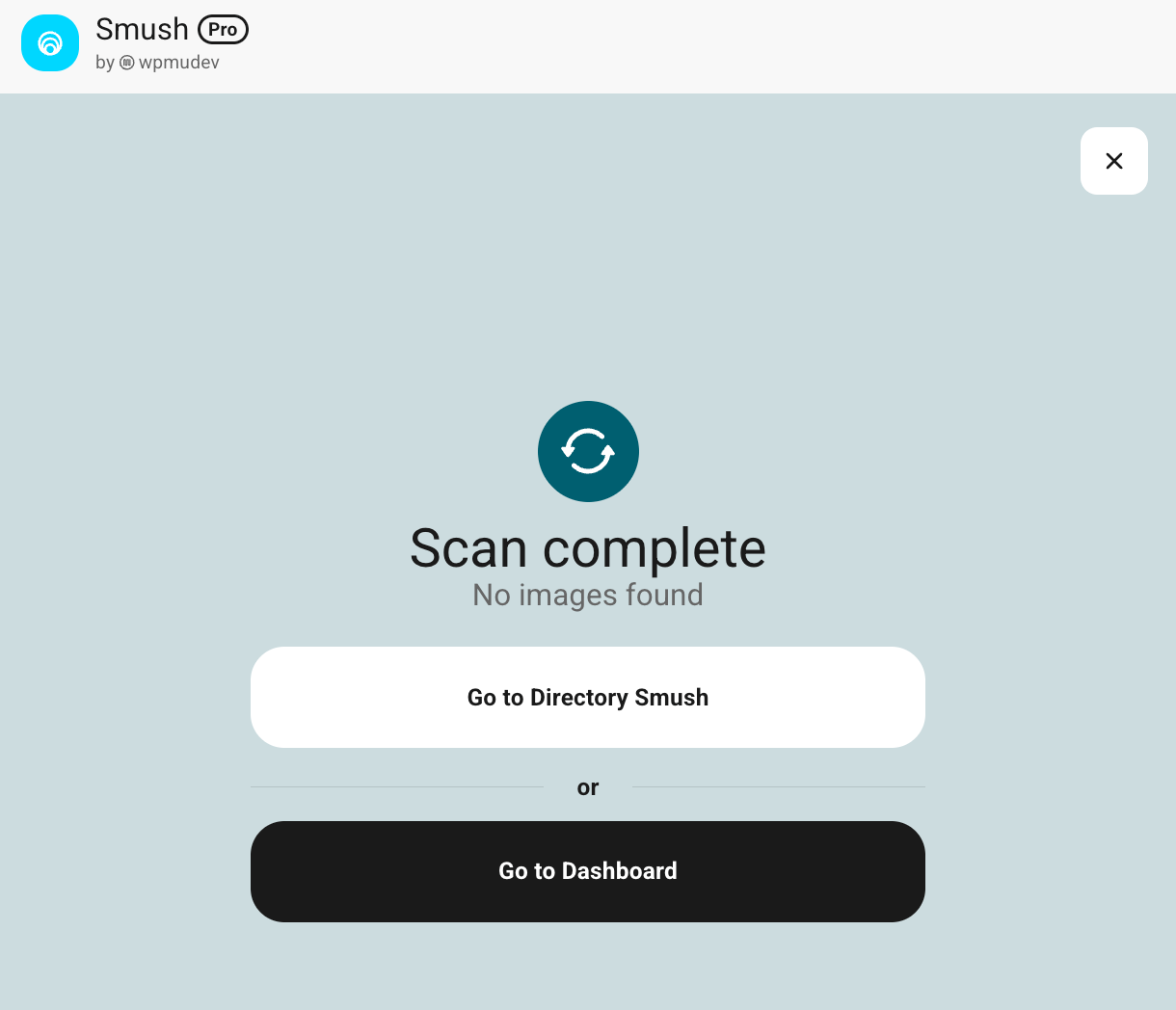 Scan no images found